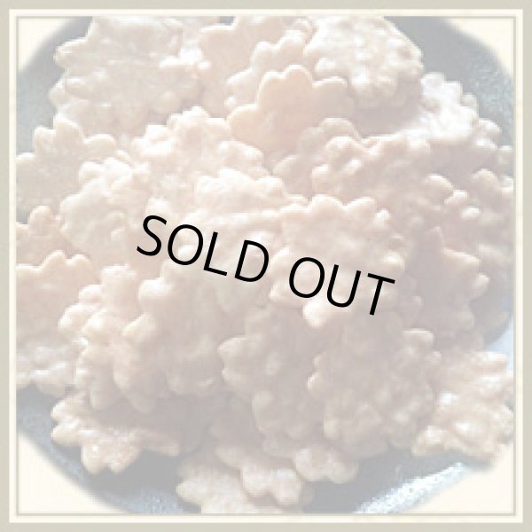 画像14: フレッシュパック (14)